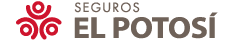 seguros-potosi